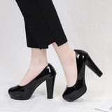 Women's High-Heeled Single Shoes Coarse Four-Season OL Work Shoes Ceremony Presided Over The Long-Term Production Of Ceremonial Professional Women's
