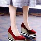 Heel Single Shoes Spring 2025 New Elegant Velvet Pine Shoes Thick Soles Comfortable Shallow Mouth Round High-Heeled