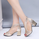 High-Heeled Sandals Women Summer Coarse Fish Mouth New Mesh Canperable Lady Water Drill After Zipper Cool