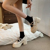 Mary Jane Small Leather Shoes Women's Shoes With Skirt French Coarse Heel Women's Fashion Singles Spring And Autumn High-Sense Single
