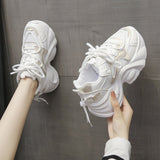 Shoes Women's Thick Back Retro 2025 Spring To Increase The Old Dad Shoes Small Net Mesh Casual Shoes