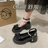 Zingj Mary Jane Single Shoes Female 2024 Spring New Fashion Sweet Thick Bottom Shallow Mouth With Skirt Thick Heel Small Leather Shoes-Outfit