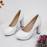 Women's High Heel Single Shoes Thick Heel PU Waterproof Table Four Seasons OL Working Shoes Long-Term