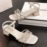 Drill Sandals In Women's Sandals 2025 Summer New Thick Heel With Buckle Fairy Wind Toess