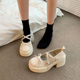 Mary Jane Small Leather Shoes Women's Shoes With Skirt French Coarse Heel Women's Fashion Singles Spring And Autumn High-Sense Single