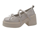 Mary Jane Small Leather Shoes Women's Shoes With Skirt French Coarse Heel Women's Fashion Singles Spring And Autumn High-Sense Single