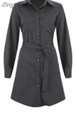 Women OL T Shirt Dress Elegant Long Sleeve Loose shirt Mini Ladies Dresses Dames Casual Plain Streetwear