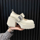 Heel Mary Jane Women's Shoes 2025 Spring And Summer New Square High Heel Single Shoes French Shallow Magic Sticker Small Leather