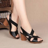 Summer New Fish Mouth Toe Fashion Roman High-Heeled Sandals Women Thicke Middle-A-Year-Old Mother