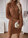 And Winter New High-Collared Collared Turtleneck Sweater Knitted Long-Sleeved
