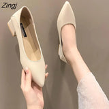 Fashion Exquisite Ladies Beautiful Solid Color Shallow Mouth Thick Heel Soft Sole Pointed Toe Heel Shoes Ladies High