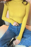 Soft Women Turtleneck Sweater Autumn Knitted Solid Jumper Winter Long Sleeve Elastic Pink Female Pullover Top