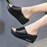 Cold Slippers