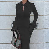 Spot 2025 Autumn / Winter New Women's Fashion Lapel Banquet Feather Long Dress