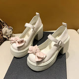 Thick And Mary Jane Women's Shoes 2025 Spring New Small Man With Bows And Skirts Small Leather