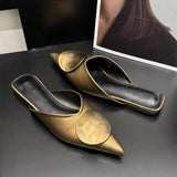 Half Slippers Women Wear 2025 Spring New Pointed Cool Slippers Metal Buckle Retro Lazi Lazier