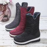 Winter Cotton Boots Women Wear Velvet Thick Snow Boots High Help Cotton