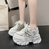 Spring And Autumn New Korean Version Of The Color Father Shoes Female Ins Tide Pine Platform Increased Women's Casual Sports