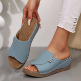 Thick-Bottomed Casual Slippers Women 2025 New Word Drag Simple Fashion Fish Mouth Slope And Lady Cold