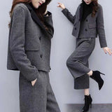 Women's Clothing 2025 Autumn And Winter Two Sets Of Trousers With Trousers With Tyribs, Coat Broad Leg Trousers Casual Fashion Suit Women's