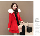 The 2025 Lady Hit The Color Collar Hair This Coat Nini Coat Ebay Korean Version Of The Repair