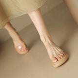 Zi Yan French Transparent High Heel Slippers Summer Women Wear Thick Bottom Thick Heel Comfortable Soft Foot