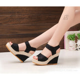 And Summer 2025 New Korean Version Of Fish Mouth Slope And Magic Sandals