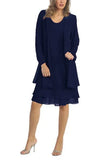 Shipping Mother of The Bride Dresses 2021 Chiffon Plus Size Long Sleeve Party Gown robe de soir¨¦e de