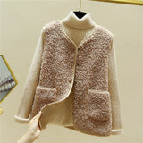 Plush Vest Women 2025 Autumn And Winter Short Korean Version Of The Fur