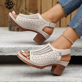 High-Heeled Sandals Summer New Hollow Fish-Mouthed Shoes Coarse Heel Breathable Sexy