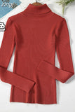2023 Basic Turtleneck Women Sweaters Autumn Winter Warm Pullover Slim Tops Ribbed Knitted Sweater Jumper Soft Pull