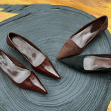 Design Sense Retro Tip-Point Commute Single Shoes Spring 2025 New French Temperament Kitten Heel Low-Heeled