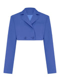 Cropped Blazer And Pleated Mini Skirt Set-Outfit
