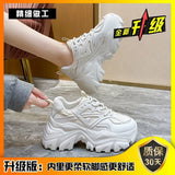 Street Old Dad Shoes Women's Winter 2025 New Ins Thick Bottoms To Increase Small Sports