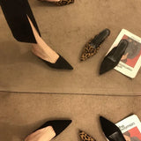 Female Low-Heeling Point 2025 New French Temperament Fine And Leopard-Print Lazy Light-Mouthed Cold