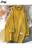 Long Sweater Women Autumn Winter Solid Knitted Pullovers Warm Loose Casual Knitwear