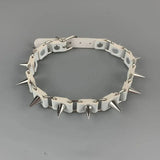 Barbed Choker Collar