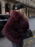Women's Winter New Fashion Environmentally Friendly Artificial Fur Short Coat