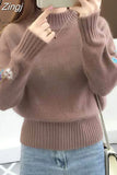 Winter Women Sweaters and Pullovers Long Sleeve Casual Embroidery Turtleneck Slim Knitted Jumpers Pull Femme