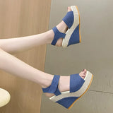 Women's Sandals 2025 Summer New Thick-Bottomed Large Cloth Fish Mouth With High