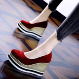 Heel Single Shoes Spring 2025 New Elegant Velvet Pine Shoes Thick Soles Comfortable Shallow Mouth Round High-Heeled
