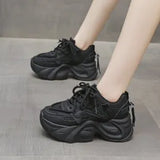 Shoes Women's Thick Back Retro 2025 Spring To Increase The Old Dad Shoes Small Net Mesh Casual Shoes