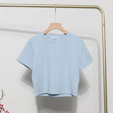 Solid Short-Sleeved T-Shirt Burst Small Short Sweet Spicy Slim Slim Thin Collar Top