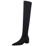 Shoes Women Sexy Over The Knee Boots Pointed Top Stretch Boots Thick Heel High Boots Black Long Boots Autumn Winter