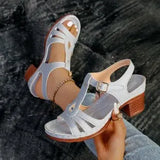 Sandals Women 2025 Summer New Solid Color Fish Mouth Thick Heel With High-Heeled