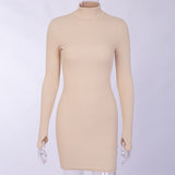 Turtleneck Long Sleeve Skinny Mini Dress Women Autumn New Cotton Solid Elastic Dresses 4 Color Bodycon Casual