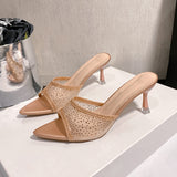 Temperament Cool Slippers Women's Summer Wear A New Fine Heel Mesh Hot Diamond Pointy Fish Mouth Exposed High