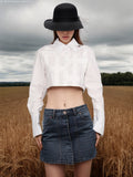 New Fashion Temperament Pure Color Stand Collar Single Breasted Irregular Splicing Design Sense Short Crop Shirt