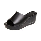 Cold Slippers