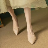 Temperament Pointed Low Heel Thin Heel Single Shoes Women 2025 Spring And Summer New British Style French Retro Cat Heel Single